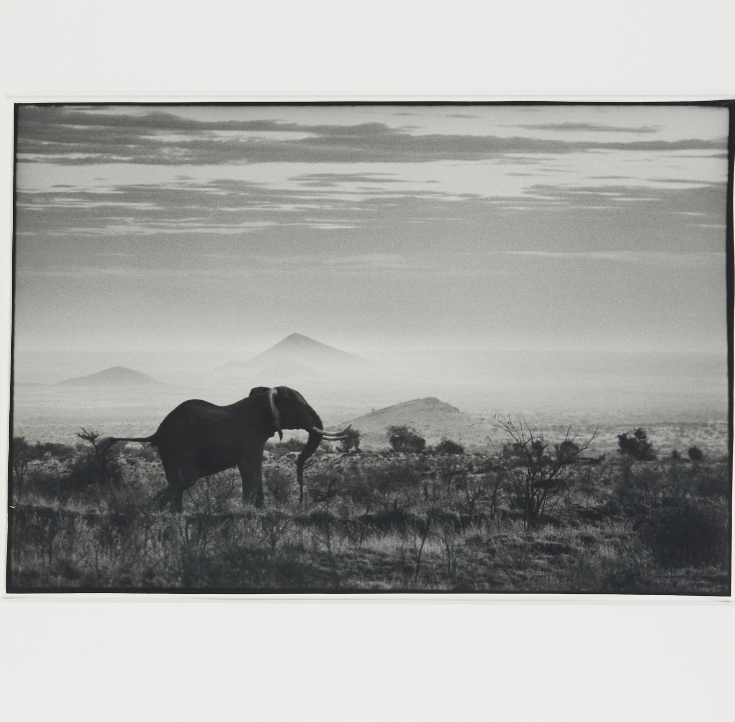 PETER BEARD, FRAMED PHOTOGRAPH