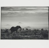 PETER BEARD, FRAMED PHOTOGRAPH