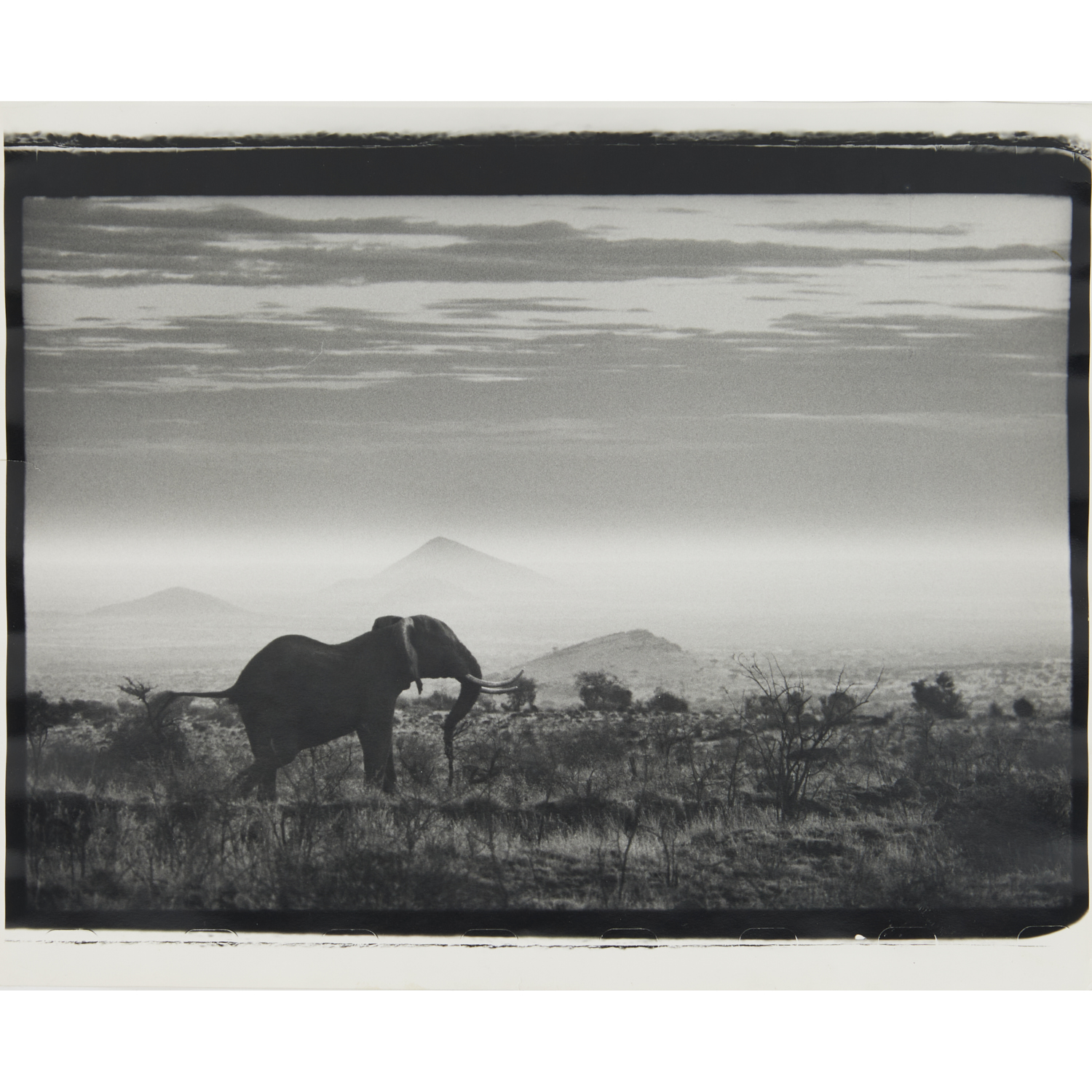 PETER BEARD, PHOTOGRAPH, ARTIST