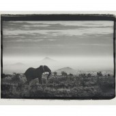 PETER BEARD, PHOTOGRAPH, ARTIS