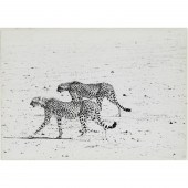 PETER BEARD, PHOTOGRAPH, INSCR