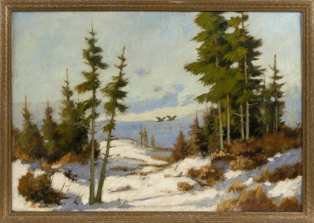 PETER BELA MAYER (NEW YORK/HUNGARY,