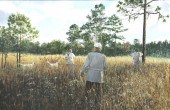 PETER CORBIN (B. 1945)Covey Ri