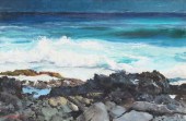 PETER HAYWARD (D.1993) HAWAIIA