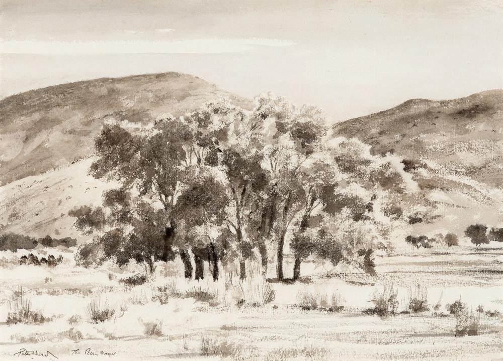 PETER HURD, THE PECAN GROVEPeter