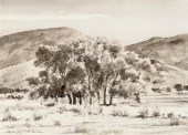 PETER HURD, THE PECAN GROVEPet