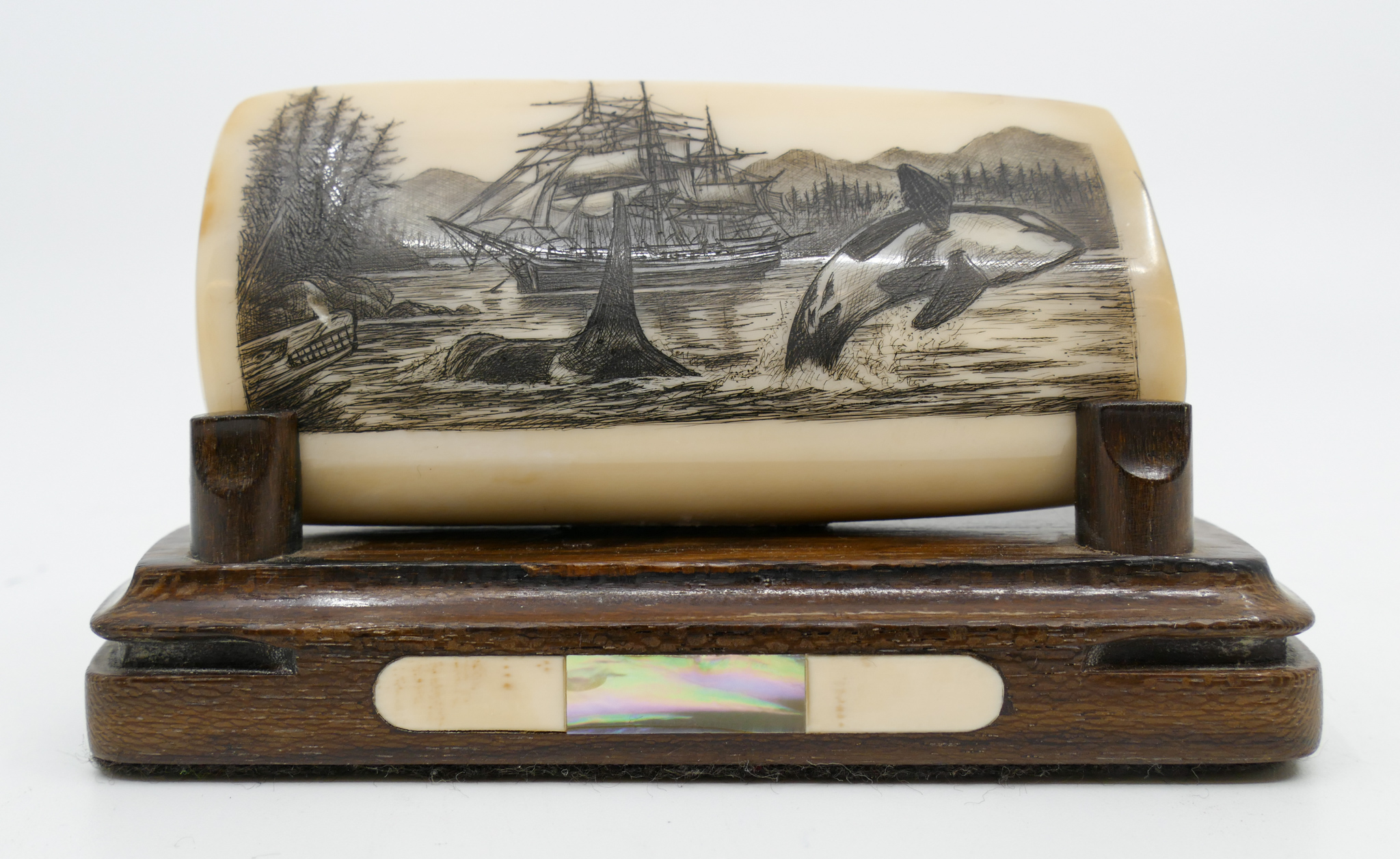 Peter Kinney Killer Whale and