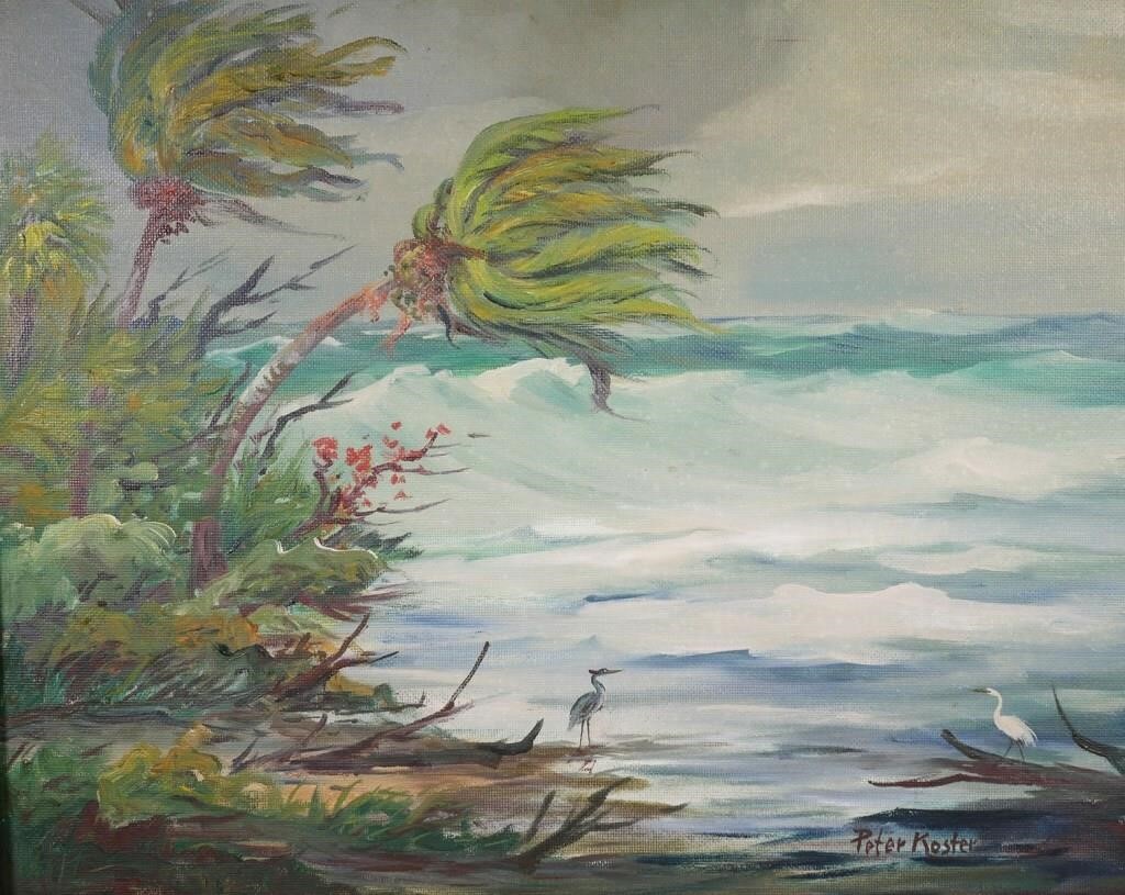 PETER KOSTER, GULF OF MEXICO,