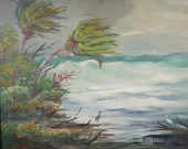 PETER KOSTER, GULF OF MEXICO,