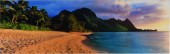 PETER LIK, AUSTRALIAN 1959-, S