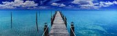 PETER LIK (AUSTRALIAN, B. 1959