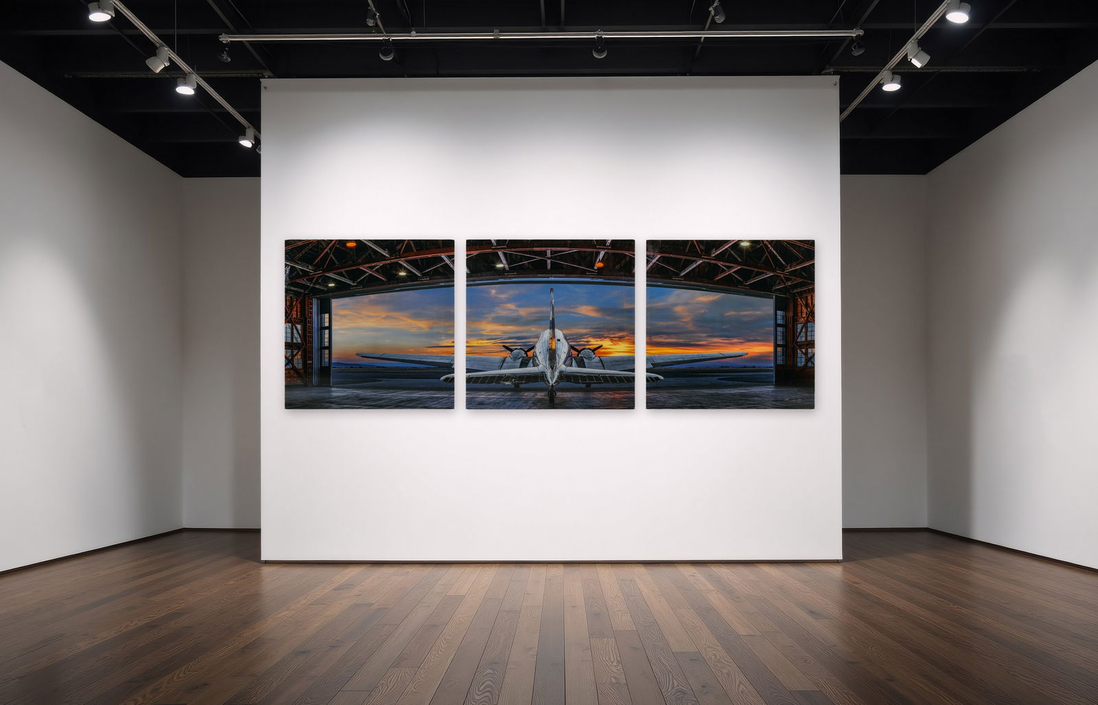 PETER LIK B.1959 AVIATOR FIRST