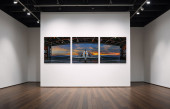 PETER LIK B.1959 AVIATOR FIRST