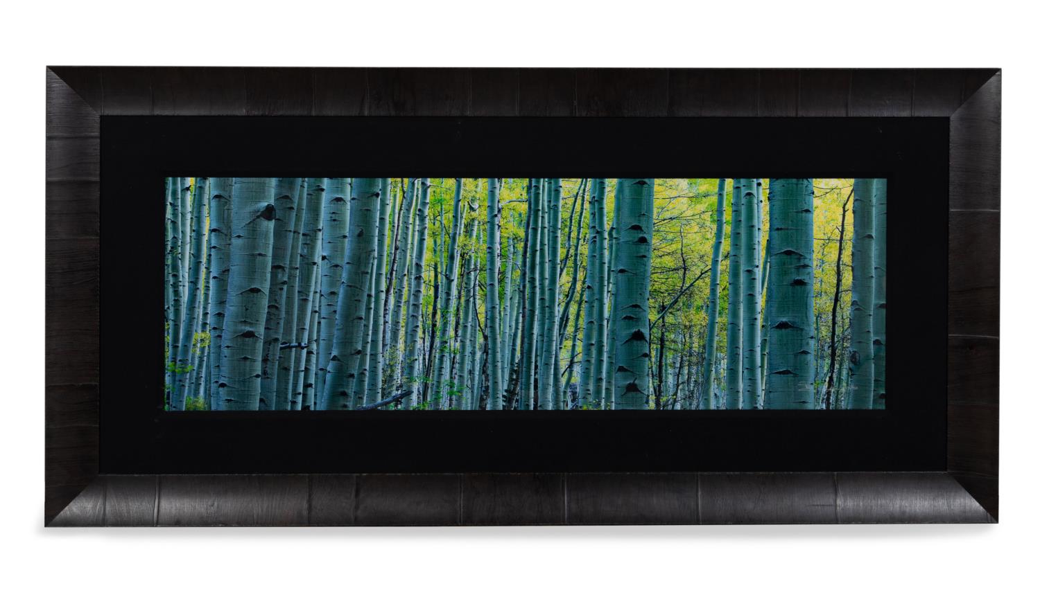 PETER LIK, "ENDLESS BIRCHES",