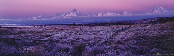PETER LIK LIMITED EDITION