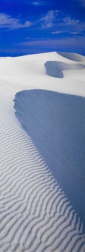 PETER LIK LIMITED EDITION PHOT