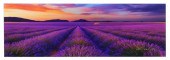PETER LIK, PHOTOGRAPH, LE REVE