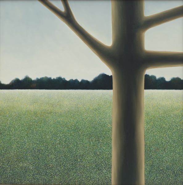 PETER SCHROTH (AMERICAN, B. 1955)