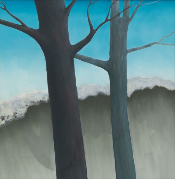 PETER SCHROTH (AMERICAN, B. 1955)