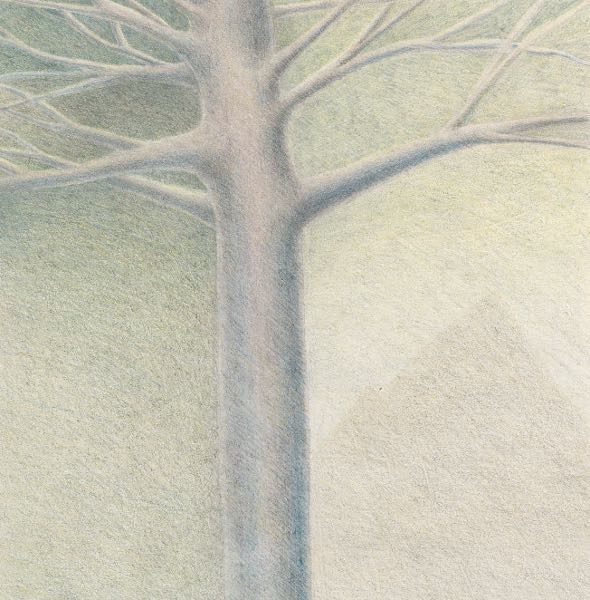 PETER SCHROTH (AMERICAN, B. 1955) 6