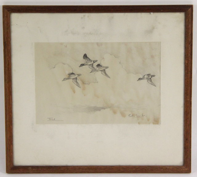 Peter Scott ARR Teal signed in