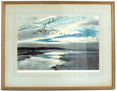 Peter Scott (British