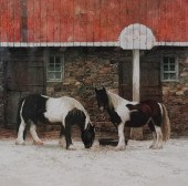 PETER SCULTHORPE (AMERICAN, 19