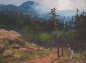 PETER SHEFFERS OIL ON BOARDPET