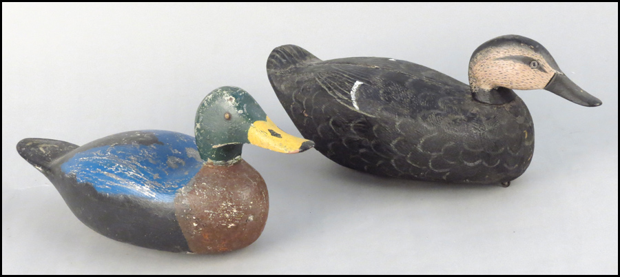 PETER STORM DECOY. Mallard Drake.