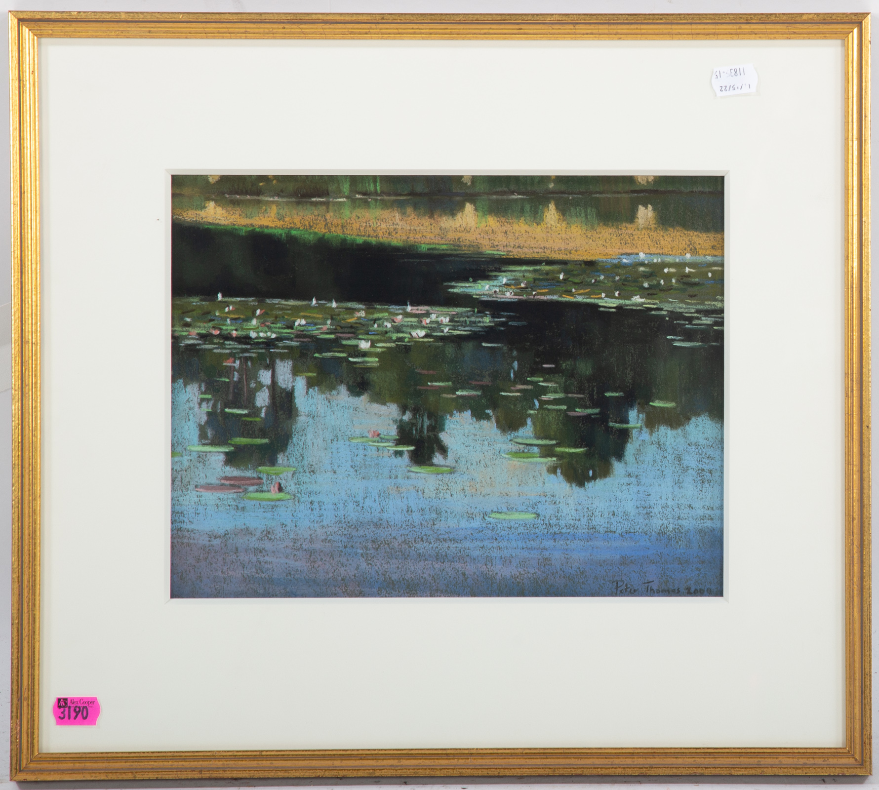 PETER THOMAS. "DARK REFLECTIONS,"