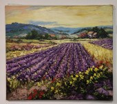 PETER VAN BERKEL - LAVENDER RO