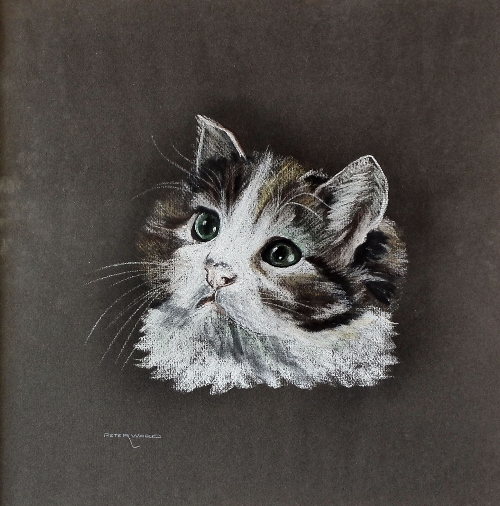 Peter Ward - Pastel drawing -