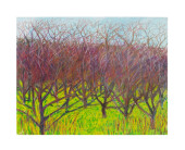 PETER WATTS, FOREST LANDSCAPE,