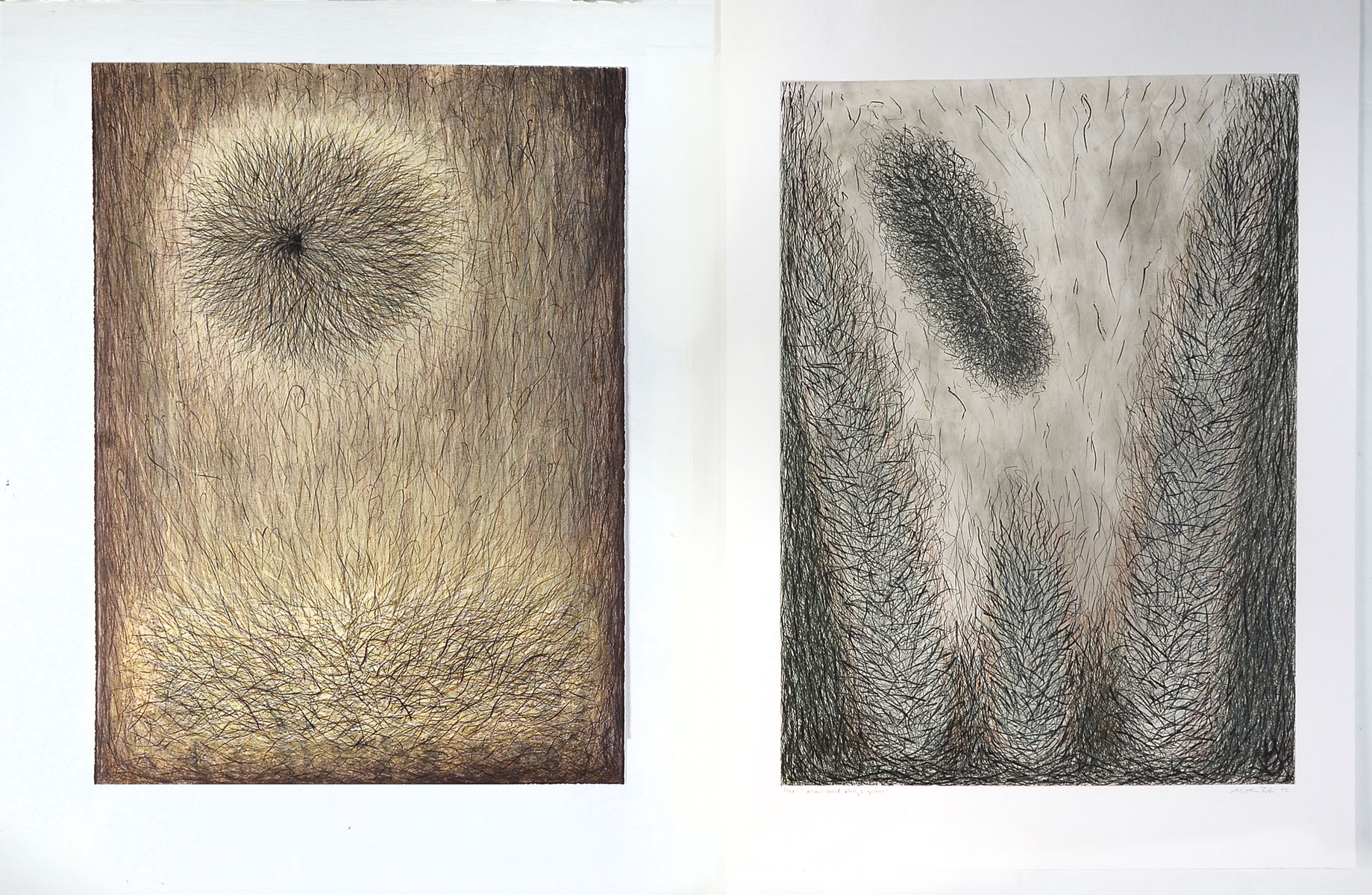 PETRI, Meta, (Danish, 1957-): 2