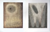 PETRI, Meta, (Danish, 1957-):