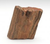 Petrified Tree Log Unidentifie
