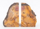 PETRIFIED WOOD MINERAL SPECIME