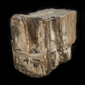 PETRIFIED WOOD SLAB<br>Large p