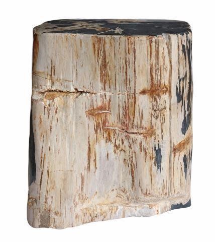 PETRIFIED WOOD STUMP SIDE TABLE