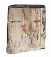 PETRIFIED WOOD STUMP SIDE TABL