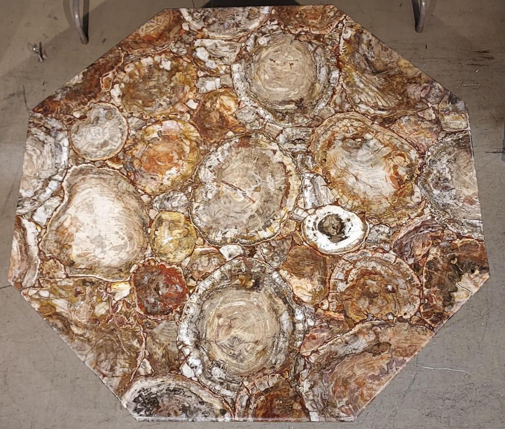 PETRIFIED WOOD TABLE TOP, BASE