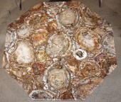 PETRIFIED WOOD TABLE TOP, BASE