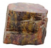 PETRIFIED WOOD TRUNK WITH BARK