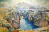 PETUR FRIDRIK ICELANDIC LANDSC