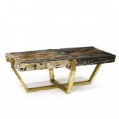 PHILLIPS COLLECTION, PETRIFIED