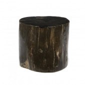 PHILLIPS COLLECTION, PETRIFIED