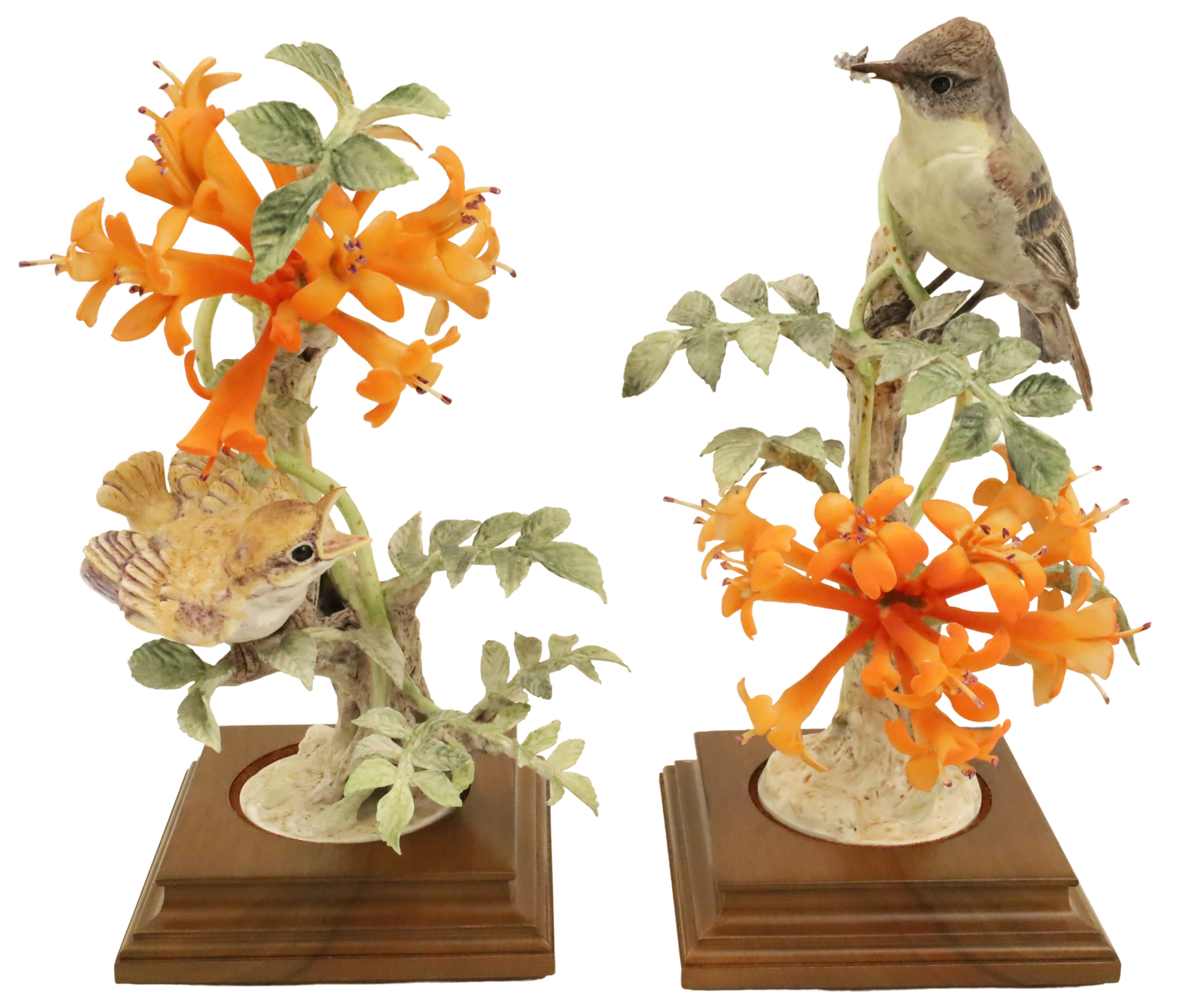 PHOEBE AND FLAME VINE BY DOROTHY
