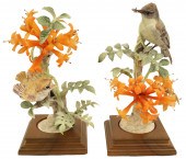 PHOEBE AND FLAME VINE BY DOROT