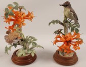 PHOEBE AND FLAME VINE BY DOROT