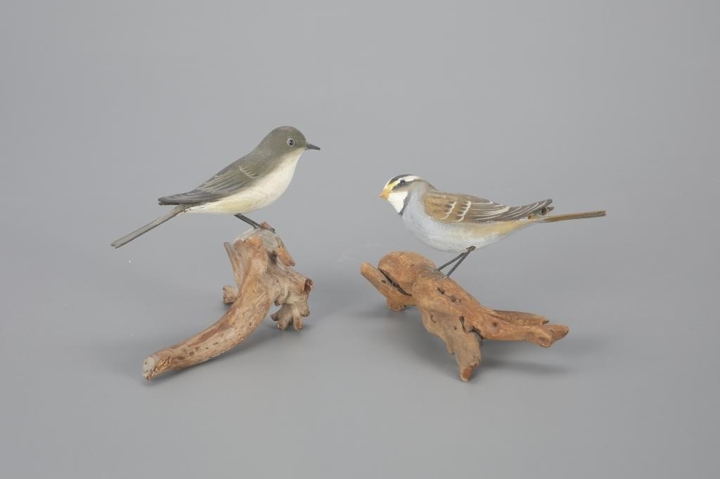 PHOEBE AND SPARROWPeter Peltz